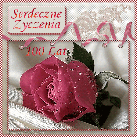 Róża i serdeczne życzenia 100 lat